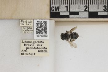 Media type: image;   Entomology 793862 Aspect: Labels